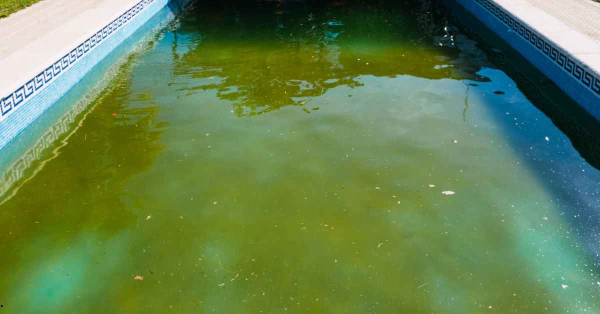 Água da piscina fica verde