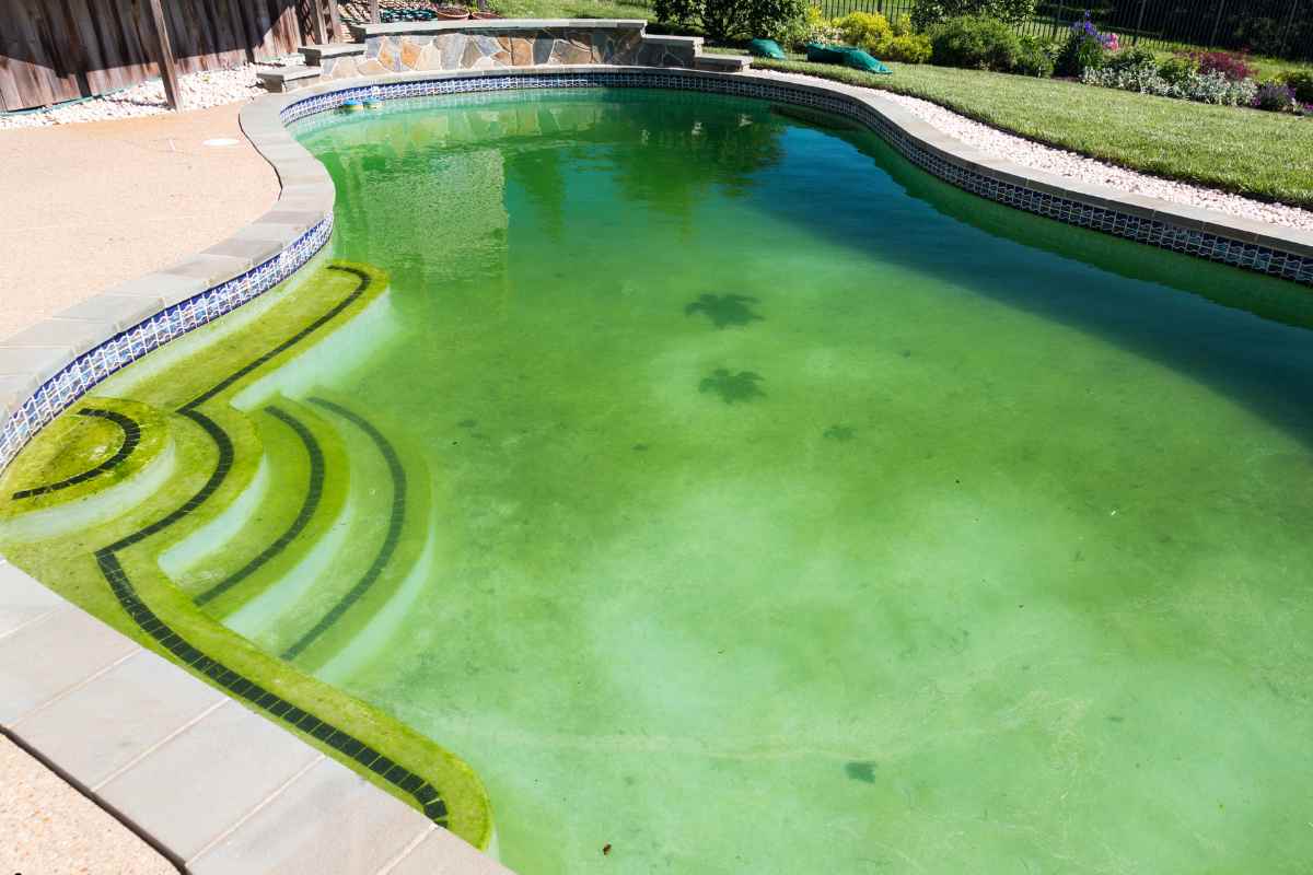 piscina fica verde quando coloca cloro