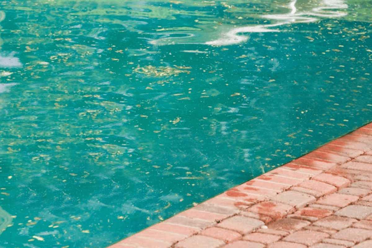 Gordura na superfície da água e paredes da piscina